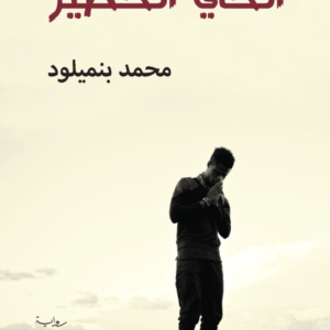 الحي الخطير: منتصف الرواية الاختبار الحقيقي للسرد
